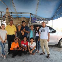 วัวคลั่งกลัวตาย หนีจากโรงฆ่าสัตว์ ได้คนใจบุญไถ่ชีวิตโค “บุญรอด”