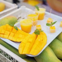 TradeWeThai ปรับโฉมใหม่ประเดิมช่วยเกษตรกรต้านภัยโควิท