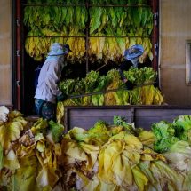 ส.ส. เพชรบูรณ์ร้องสภา เร่งแก้ปัญหาภาษียาสูบ และขยะล้นเขาค้อ