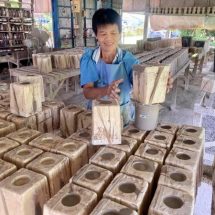 วศ. ลงพื้นที่พบ ผปก.เซรามิคลำปาง เดินหน้าพัฒนาผลิตภัณฑ์สร้างความยั่งยืนให้ชุมชน