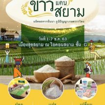“สุขสยาม” จัดงาน “ข้าวแดนสยาม” ยกระดับมาตรฐานข้าวไทยสู่วิถีเกษตรกรแนวใหม่ 4.0 1-7 ธันวาคมศกนี้ ณ เมืองสุขสยาม ชั้น G ไอคอนสยาม