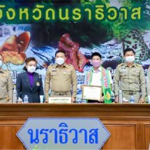 แสดงความยินดี