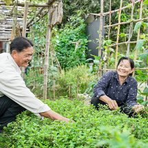โก่งธนู ต้นแบบปลูกผักในบ้านทั้งตำบล…ปลูกความสุข ปลูกความยั่งยืน อย่างไม่รู้จบ