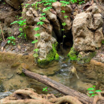 เมืองงาว… เมืองแห่งความชุ่มชื้นและร่มรื่นที่สุดแห่งหนึ่งในจังหวัดลำปาง