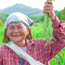 ยางหักวันนี้ อุดมสมบูรณ์ด้วยน้ำพระราชหฤทัยพระบาทสมเด็จพระเจ้าอยู่หัว