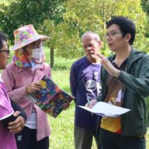 นักวิจัยม.วลัยลักษณ์ แนะ5วิธีฟื้นฟูต้นพืชหลังน้ำท่วม