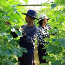 สวพส. จัดการน้ำบนพื้นที่สูง…เปลี่ยนชีวิตชุมชน…สู่ความมั่นคงทางอาหารอย่างยั่งยืน