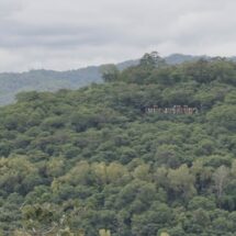 ผาแดง จากเหมืองแร่สู่อัญมณีแห่งผืนป่าตะวันตก