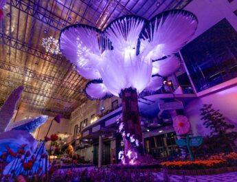 WONDARA – The Power of Flower – Immersive Exhibition แลนด์มาร์กท่องเที่ยวแห่งใหม่ จ.ระยองชวนให้สัมผัสกับพลังแห่งดอกไม้แบบ 4 มิติ เปิดให้เข้าชมแล้ววันนี้ จองบัตรเข้าชมได้ทาง Zipevent