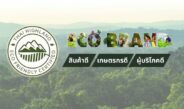 ECO-BRAND กาแฟใต้ร่มไม้ กับภารกิจคืนลมหายใจให้ผืนป่าและผู้คน