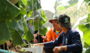 จากเกษตรแบบเดิม สู่ “Smart Farm” ห้วยน้ำขาวยกระดับการผลิต สร้างรายได้ พัฒนาชุมชนบนพื้นที่สูงอย่างยั่งยืน