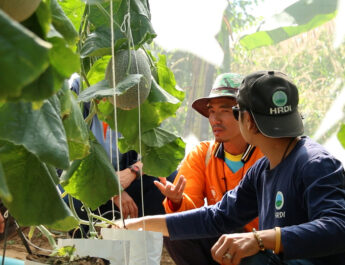 จากเกษตรแบบเดิม สู่ “Smart Farm” ห้วยน้ำขาวยกระดับการผลิต สร้างรายได้ พัฒนาชุมชนบนพื้นที่สูงอย่างยั่งยืน