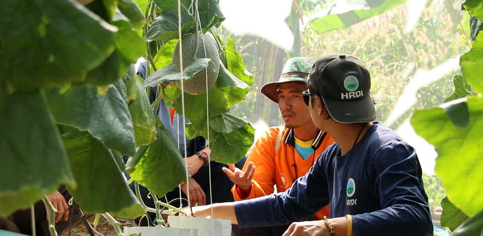 จากเกษตรแบบเดิม สู่ “Smart Farm” ห้วยน้ำขาวยกระดับการผลิต สร้างรายได้ พัฒนาชุมชนบนพื้นที่สูงอย่างยั่งยืน